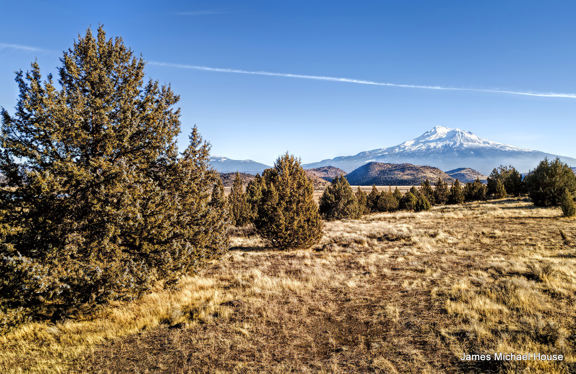 Mount Shasta